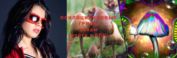 PSILOCYBIN Белоозёрский