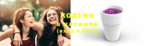 сатива Белокуриха