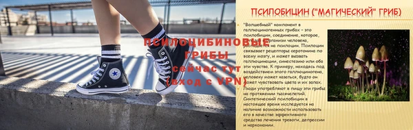 PSILOCYBIN Белоозёрский