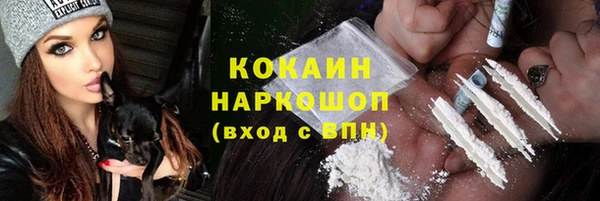 сатива Белокуриха